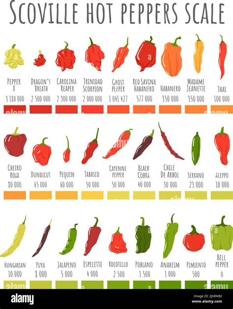 hot peppers ranked|hot pepper identification chart.